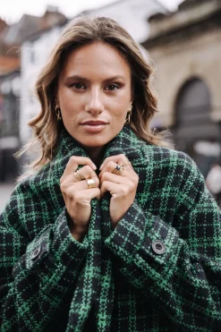 Vicky Gingham