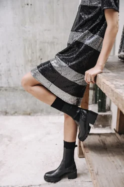 Violina